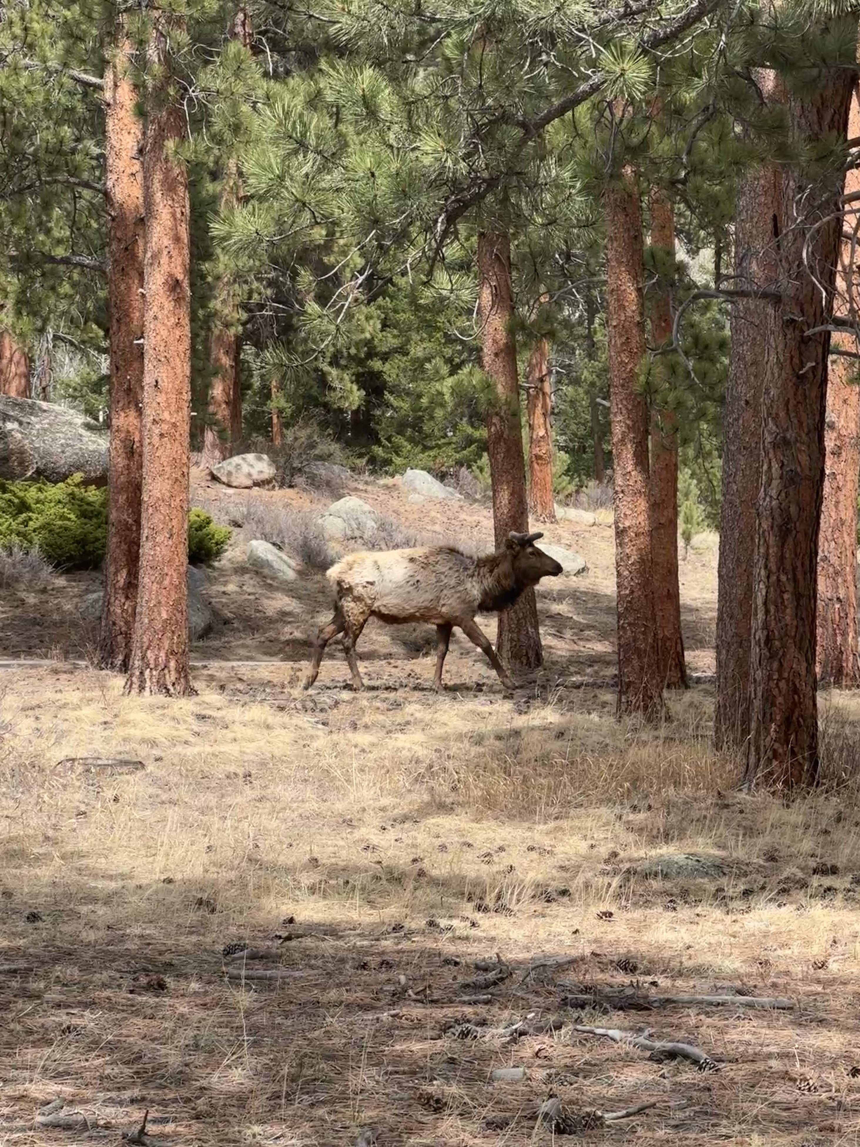 Photography by Armaan Jhajj