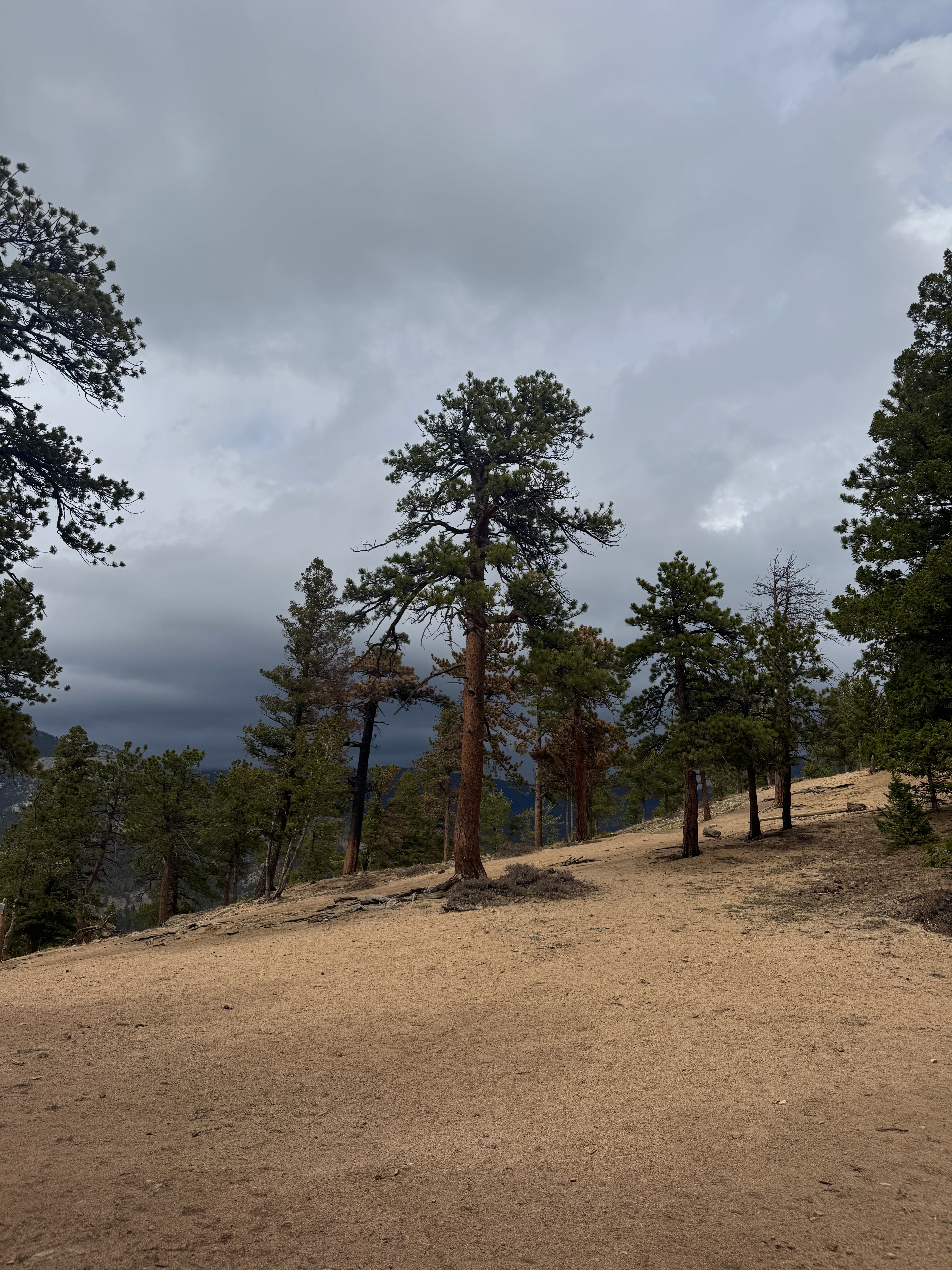 Photography by Armaan Jhajj