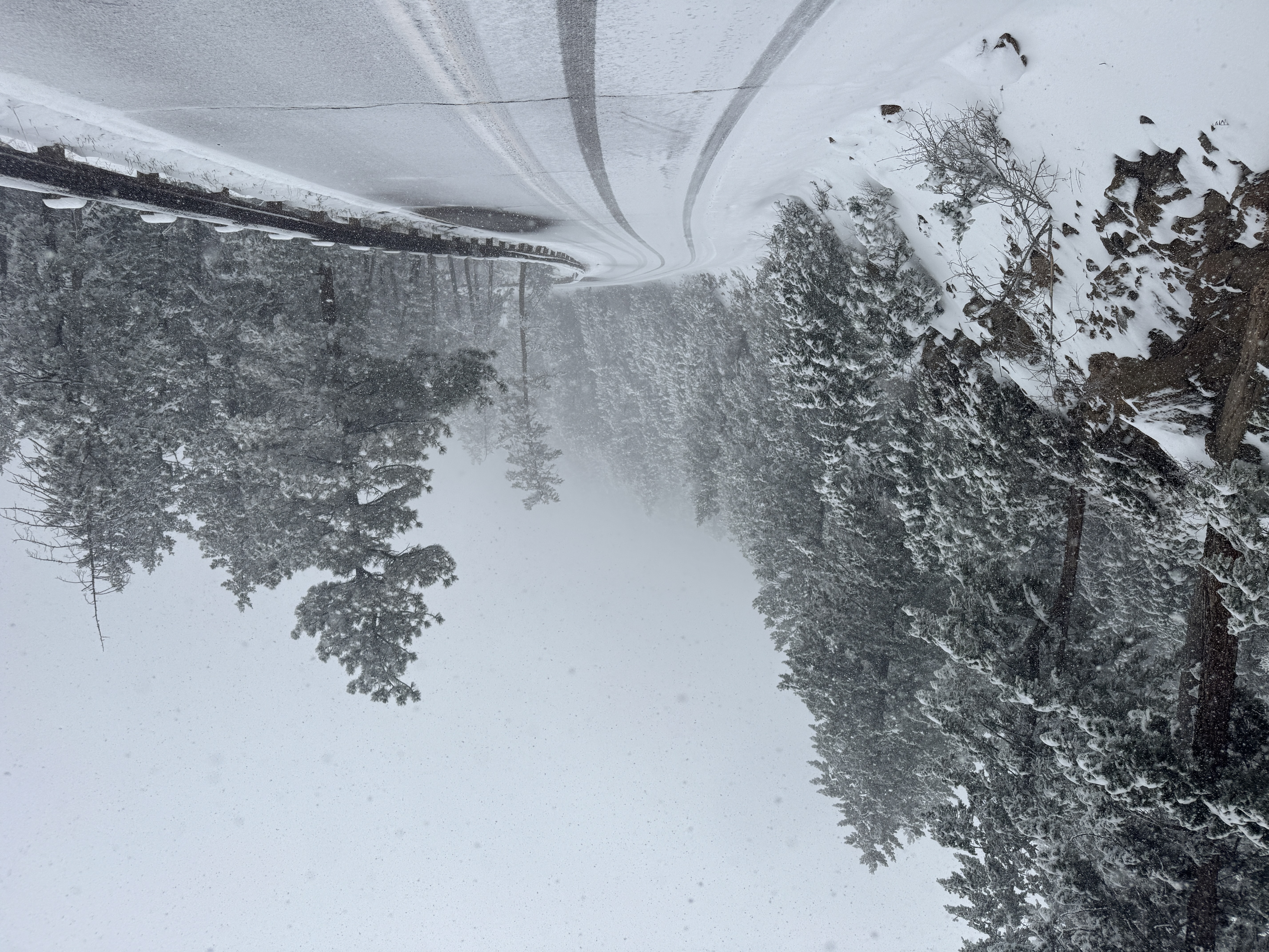 Photography by Armaan Jhajj